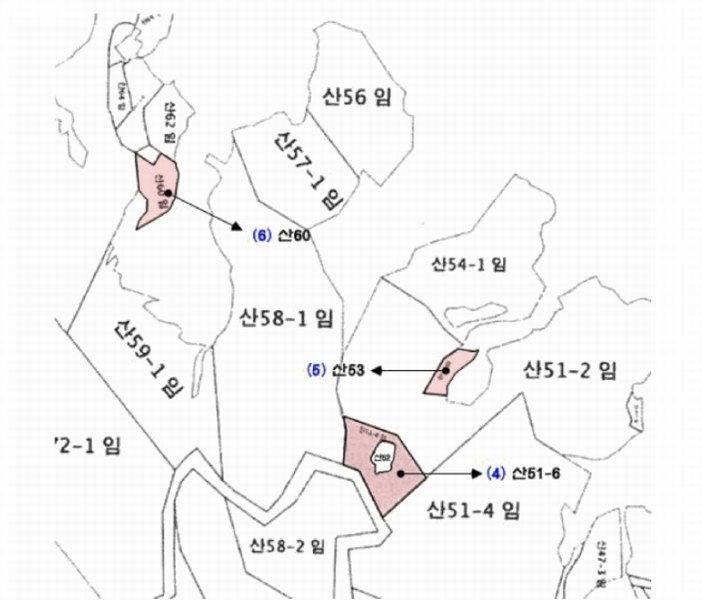 2025타경20290 충청남도 부여군 부여읍 송곡리 산51-6 임야 경매 이미지