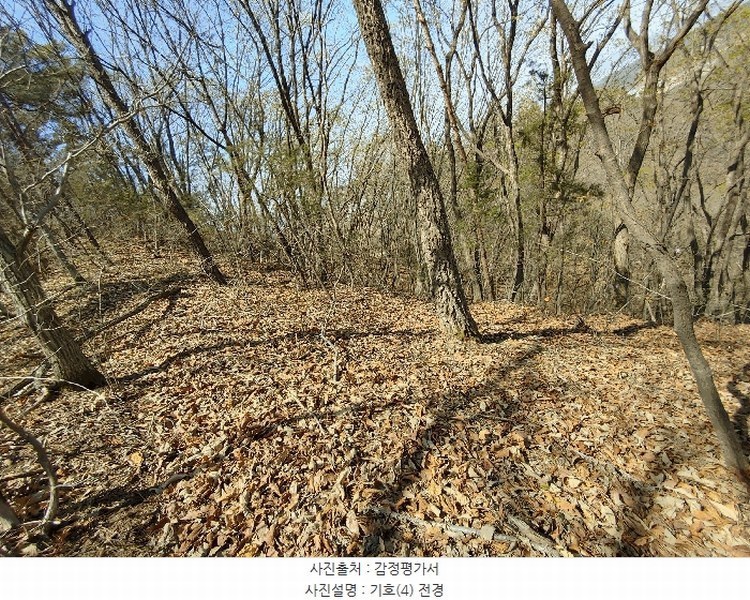 2025타경20290 충청남도 부여군 부여읍 송곡리 산51-6 임야 경매 이미지