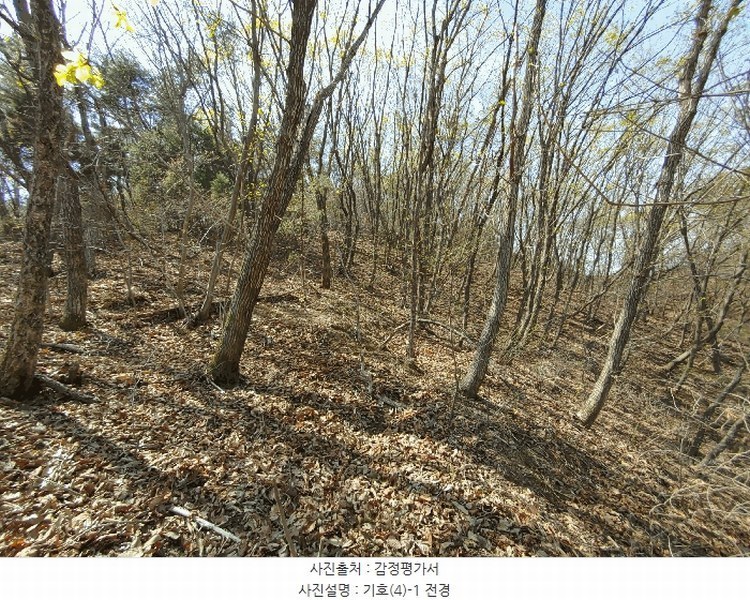 2025타경20290 충청남도 부여군 부여읍 송곡리 산51-6 임야 경매 이미지