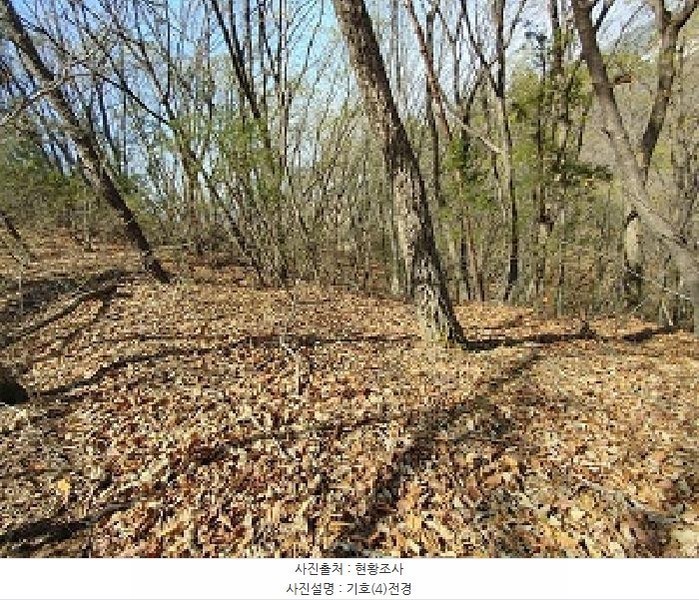 2025타경20290 충청남도 부여군 부여읍 송곡리 산51-6 임야 경매 이미지