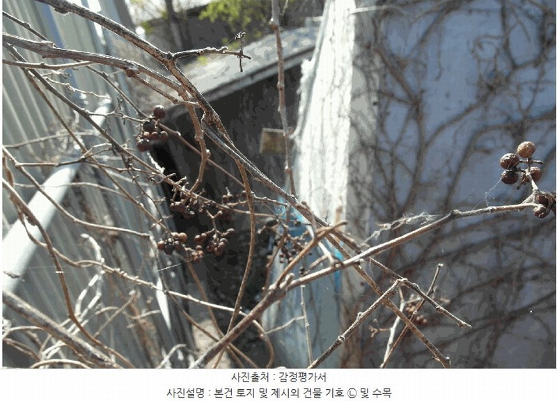 2025타경20295 충청남도 논산시 연산면 표정리 436-1 대지 경매 이미지