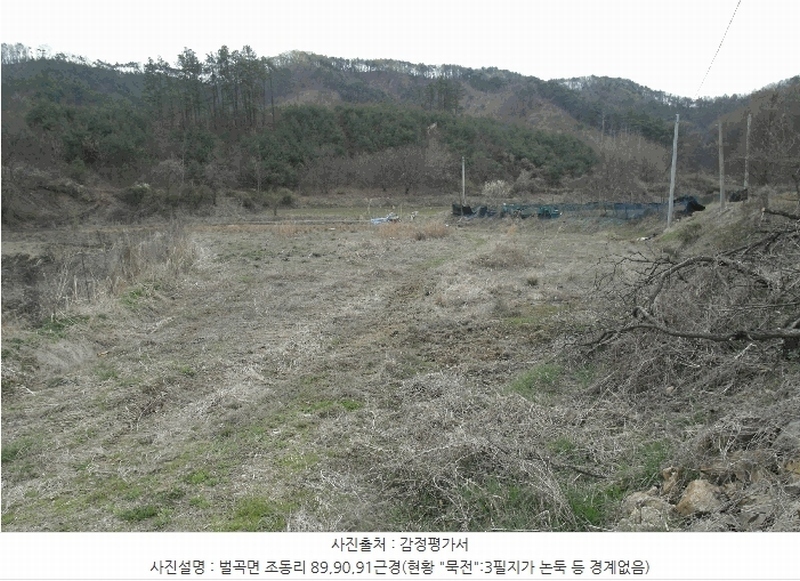 2025타경20305 충청남도 논산시 벌곡면 조동리 89 농지 경매 이미지