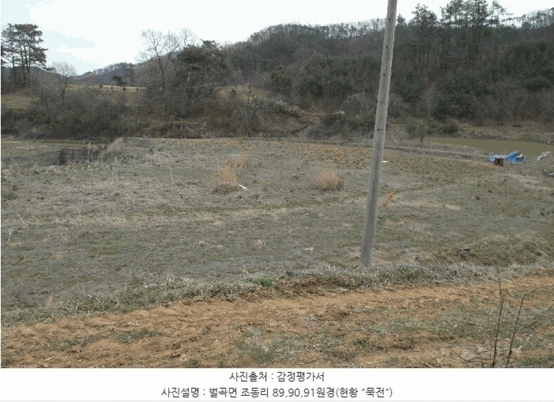 2025타경20305 충청남도 논산시 벌곡면 조동리 89 농지 경매 이미지
