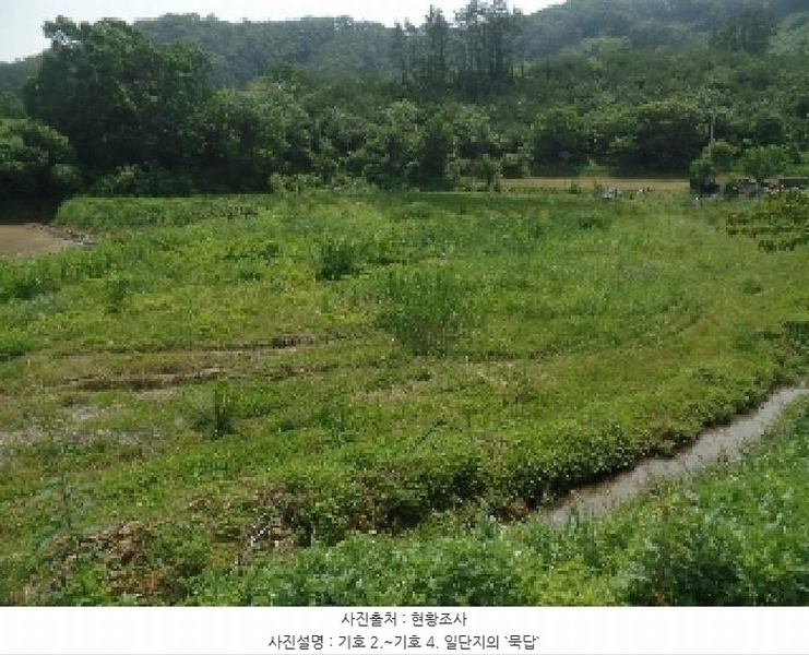 2025타경20305 충청남도 논산시 벌곡면 조동리 89 농지 경매 이미지