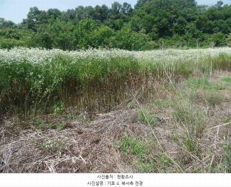 2025타경20309 충청남도 논산시 은진면 시묘리 476-2 주택 경매 이미지