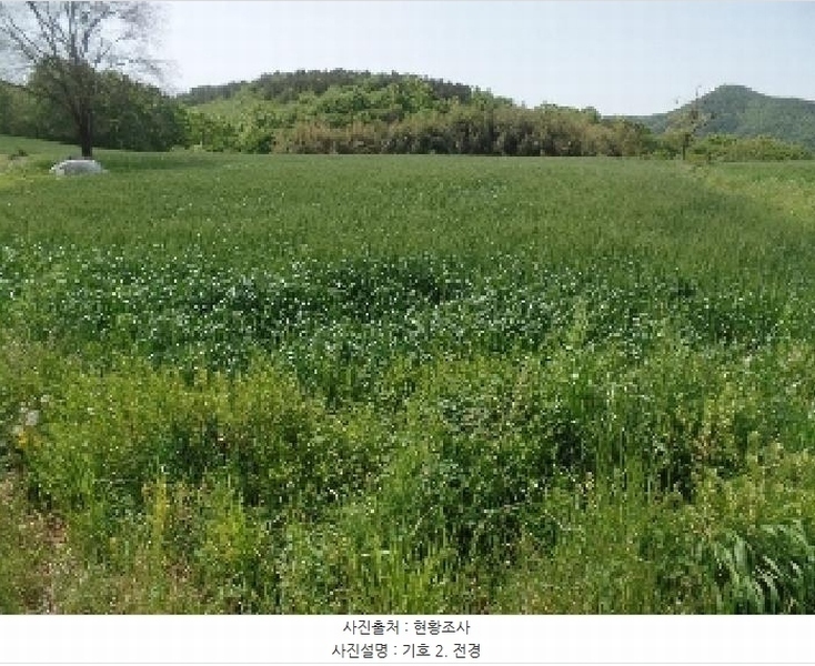 2025타경20311 충청남도 논산시 양촌면 인천리 11 농지 경매 이미지