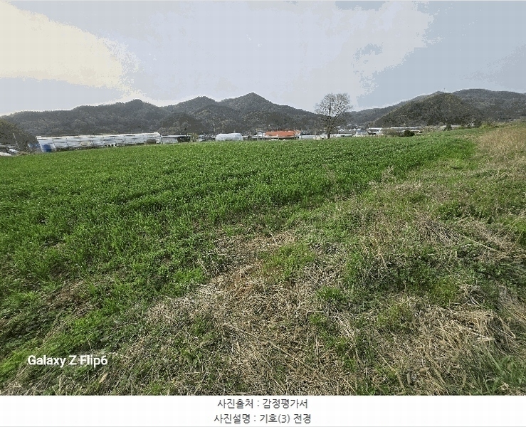 2025타경20311 충청남도 논산시 양촌면 인천리 11 농지 경매 이미지
