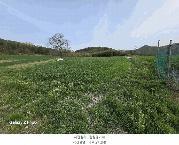 2025타경20311 충청남도 논산시 양촌면 인천리 11 농지 경매 이미지