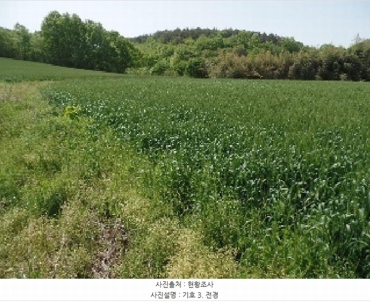 2025타경20311 충청남도 논산시 양촌면 인천리 11 농지 경매 이미지