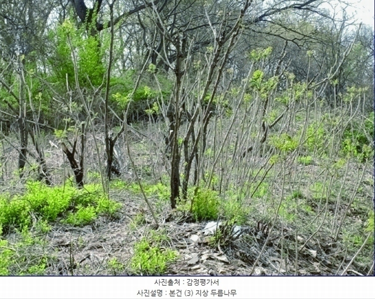 2025타경20315 충청남도 논산시 연산면 연산리 441-14 임야 경매 이미지