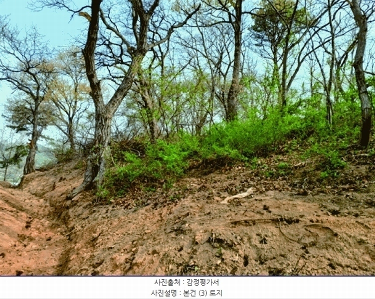 2025타경20315 충청남도 논산시 연산면 연산리 441-14 임야 경매 이미지