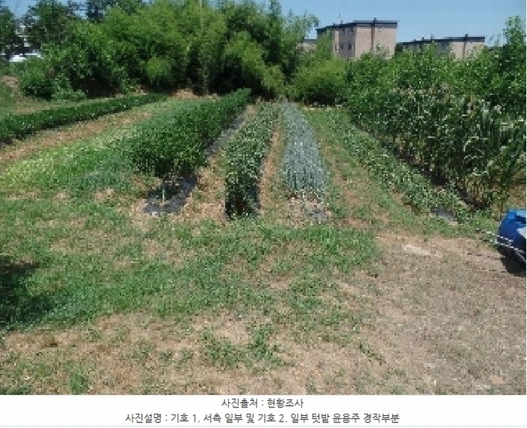 2025타경20325 충청남도 논산시 연무읍 동산리 839 농지 경매 이미지
