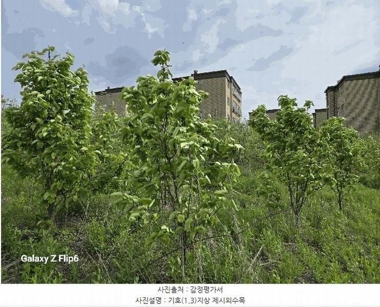 2025타경20325 충청남도 논산시 연무읍 동산리 839 농지 경매 이미지
