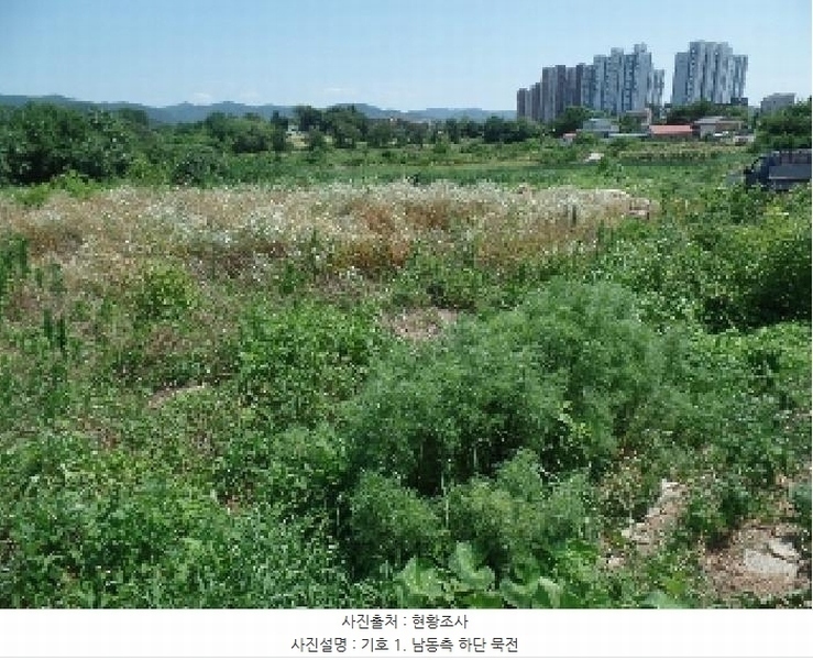 2025타경20325 충청남도 논산시 연무읍 동산리 839 농지 경매 이미지