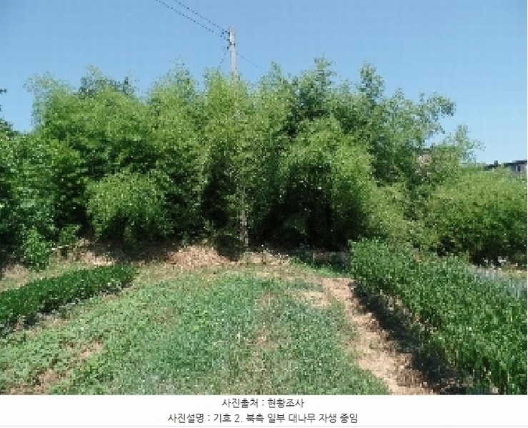 2025타경20325 충청남도 논산시 연무읍 동산리 839 농지 경매 이미지