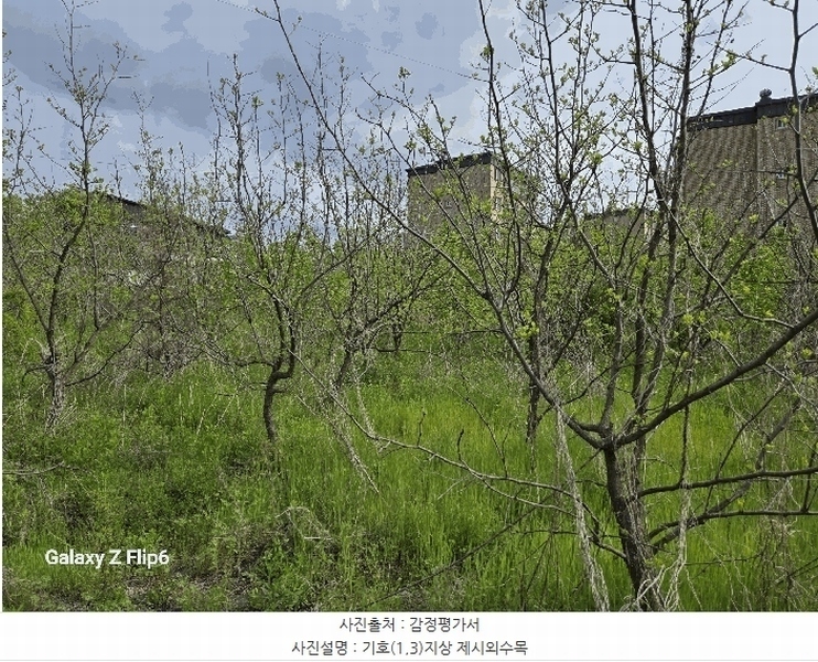2025타경20325 충청남도 논산시 연무읍 동산리 839 농지 경매 이미지