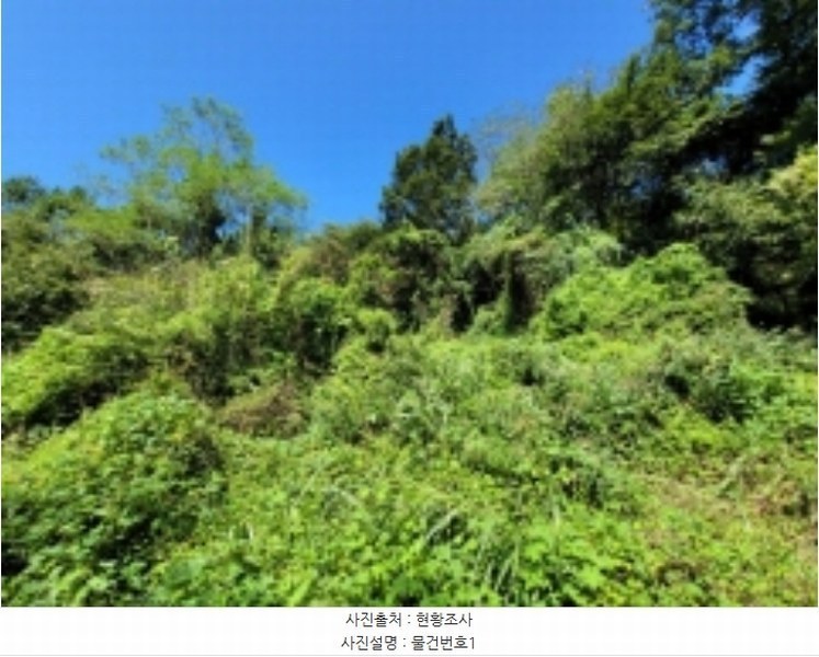 2024타경4291 경상남도 진주시 진성면 상촌리 548-3 농지 경매 이미지