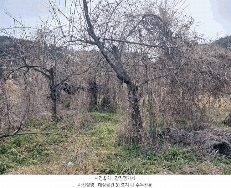 2025타경532 경상남도 남해군 창선면 당저리 343-3 농지 경매 이미지