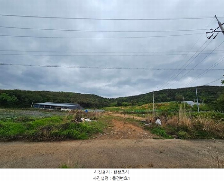 2025타경573 경상남도 하동군 양보면 통정리 15 농지 경매 이미지