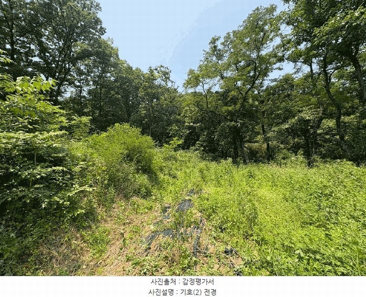 2025타경720 대구광역시 달성군 현풍읍 지리 767 농지 경매 이미지