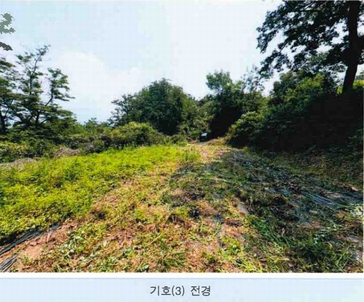 2025타경720 대구광역시 달성군 현풍읍 지리 767 농지 경매 이미지