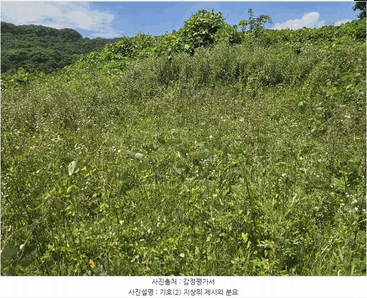 2025타경11232 충청남도 천안시 동남구 북면 납안리 123-15 농지 경매 이미지