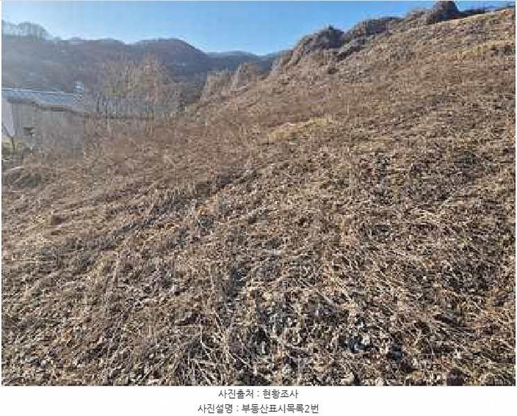 2025타경11232 충청남도 천안시 동남구 북면 납안리 123-15 농지 경매 이미지