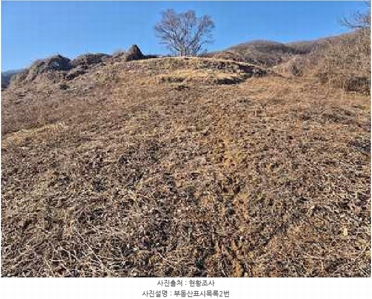 2025타경11232 충청남도 천안시 동남구 북면 납안리 123-15 농지 경매 이미지