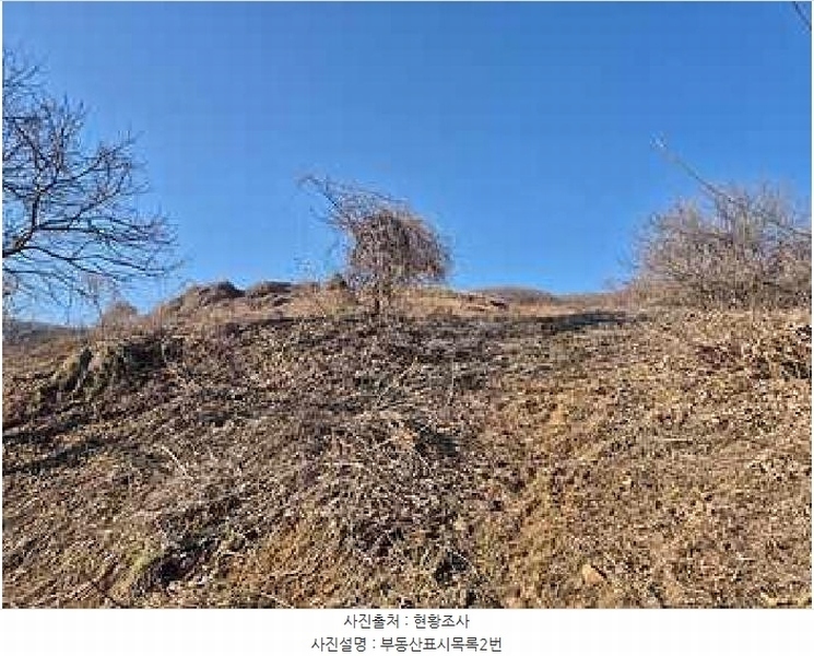 2025타경11232 충청남도 천안시 동남구 북면 납안리 123-15 농지 경매 이미지
