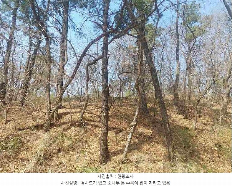 2025타경11392 충청남도 천안시 서북구 성환읍 학정리 652-1 임야 경매 이미지