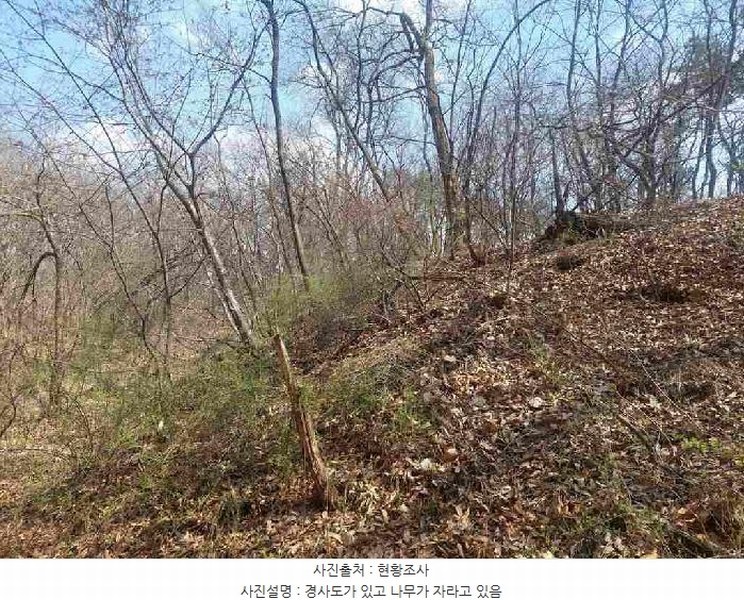 2025타경11392 충청남도 천안시 서북구 성환읍 학정리 652-1 임야 경매 이미지