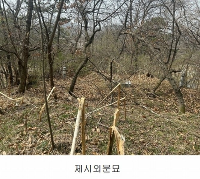 2025타경11392 충청남도 천안시 서북구 성환읍 학정리 652-1 임야 경매 이미지