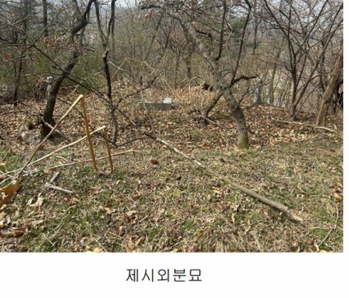 2025타경11392 충청남도 천안시 서북구 성환읍 학정리 652-1 임야 경매 이미지