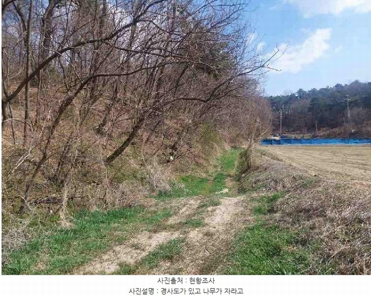 2025타경11392 충청남도 천안시 서북구 성환읍 학정리 652-1 임야 경매 이미지