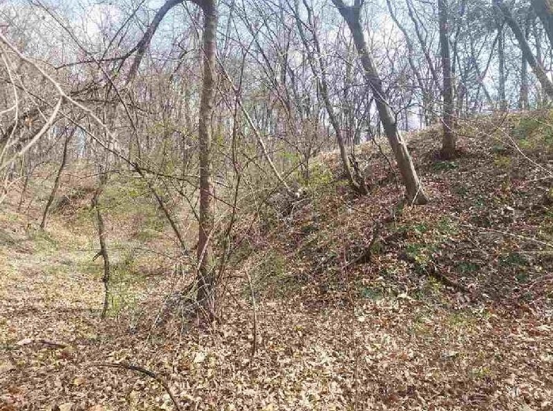2025타경11392 충청남도 천안시 서북구 성환읍 학정리 652-1 임야 경매 이미지