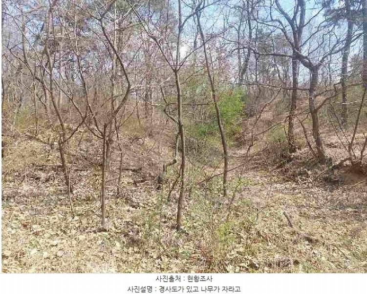 2025타경11392 충청남도 천안시 서북구 성환읍 학정리 652-1 임야 경매 이미지