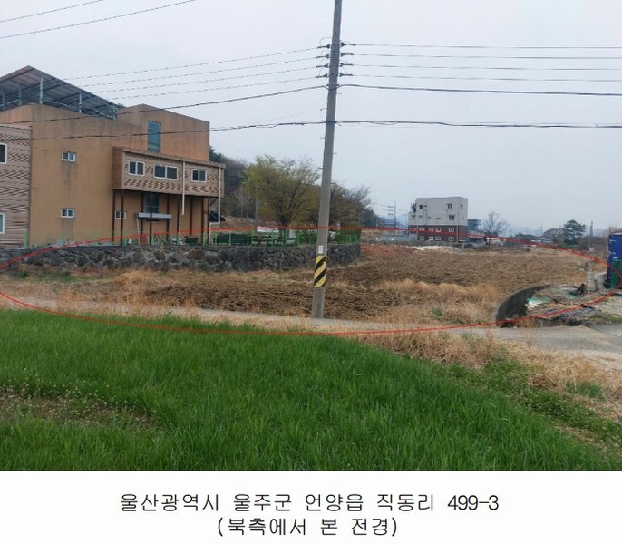 2025타경11573 울산광역시 울주군 언양읍 직동리 499-3 농지 경매 이미지