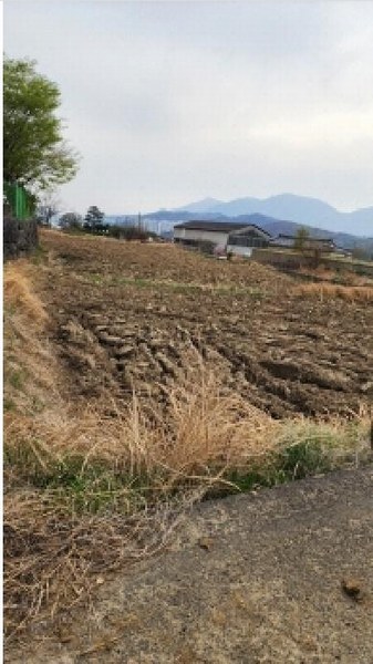 2025타경11573 울산광역시 울주군 언양읍 직동리 499-3 농지 경매 이미지