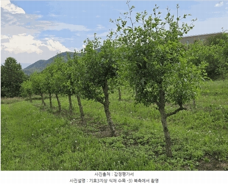 2025타경11802 충청남도 아산시 신인동 20 과수원 경매 이미지