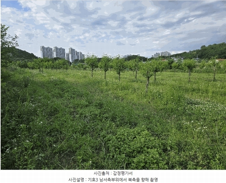 2025타경11802 충청남도 아산시 신인동 20 과수원 경매 이미지