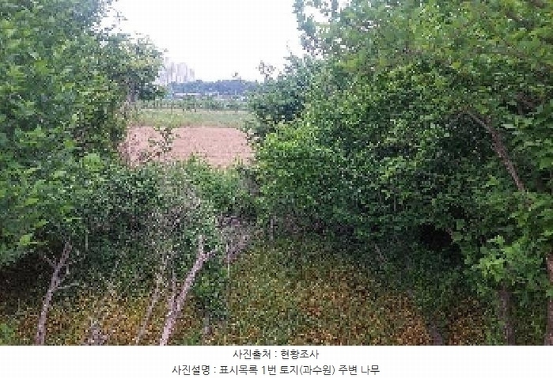 2025타경11802 충청남도 아산시 신인동 20 과수원 경매 이미지