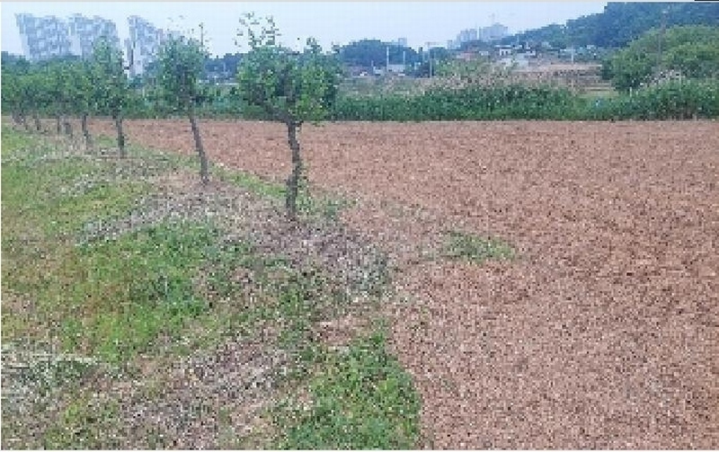 2025타경11802 충청남도 아산시 신인동 20 과수원 경매 이미지
