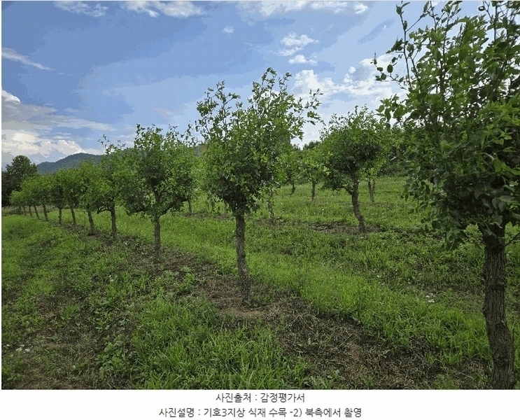 2025타경11802 충청남도 아산시 신인동 20 과수원 경매 이미지