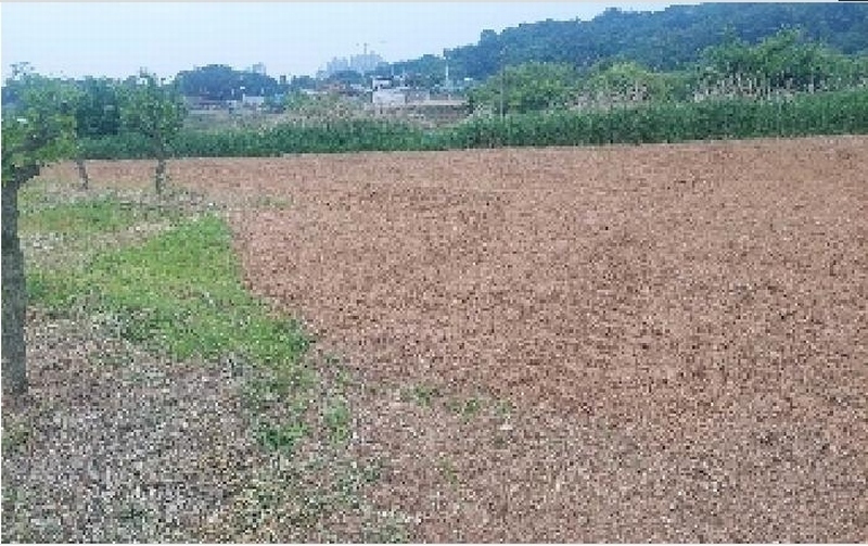 2025타경11802 충청남도 아산시 신인동 20 과수원 경매 이미지