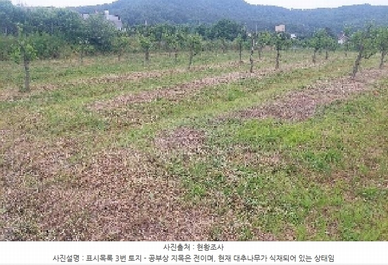 2025타경11802 충청남도 아산시 신인동 20 과수원 경매 이미지