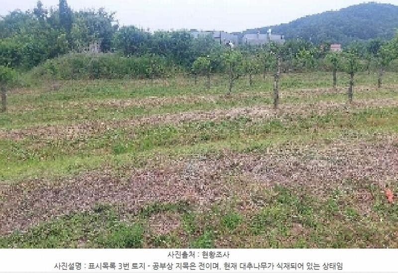 2025타경11802 충청남도 아산시 신인동 20 과수원 경매 이미지