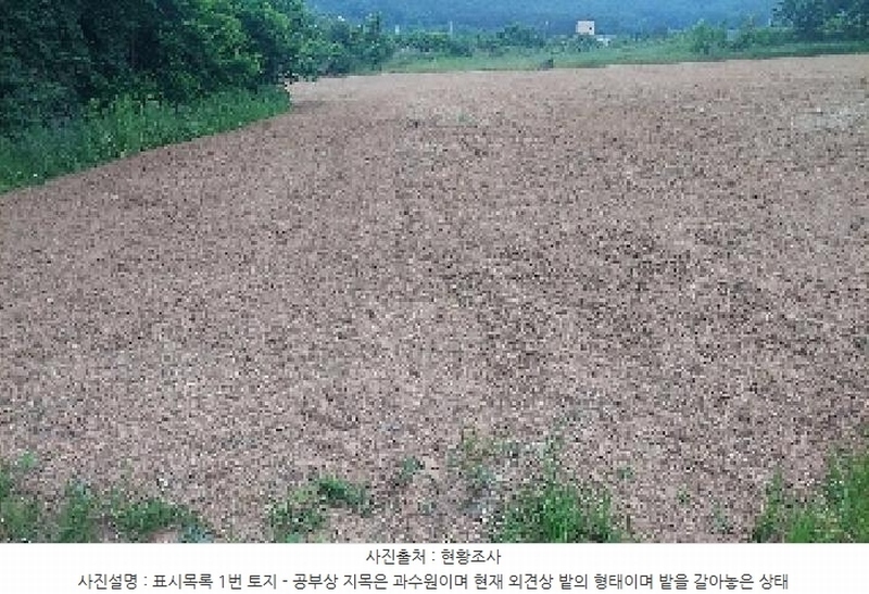2025타경11802 충청남도 아산시 신인동 20 과수원 경매 이미지