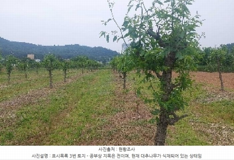 2025타경11802 충청남도 아산시 신인동 20 과수원 경매 이미지