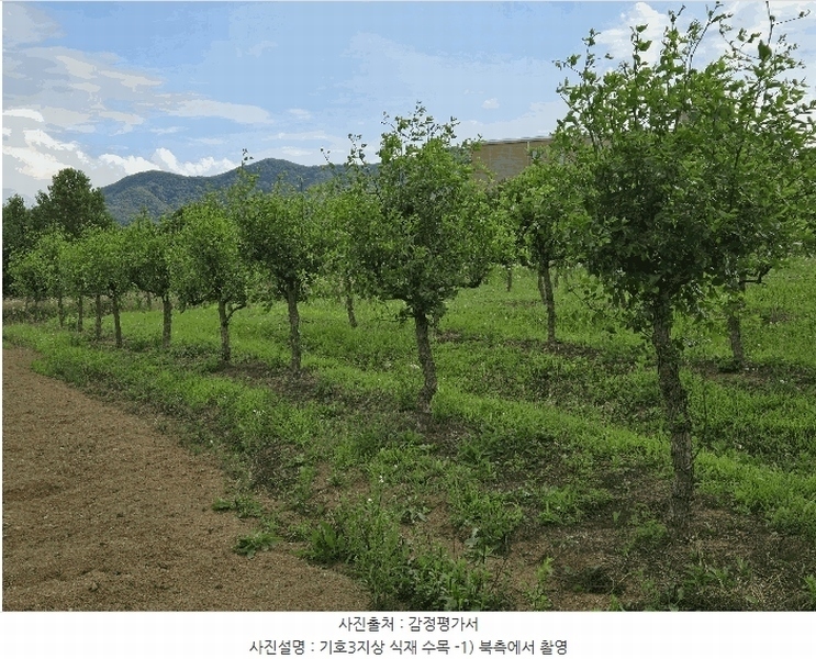 2025타경11802 충청남도 아산시 신인동 20 과수원 경매 이미지