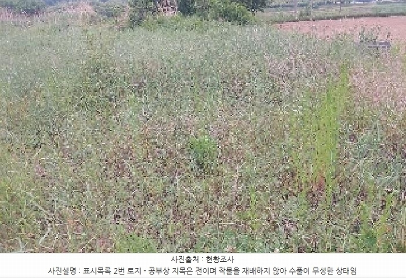 2025타경11802 충청남도 아산시 신인동 20 과수원 경매 이미지